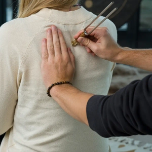 Meinl Nakładka Wibracyjna Fork Vibration Foot Small Gold VFFS