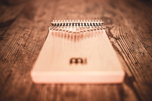 Meinl Kalimba Solid KL1704S