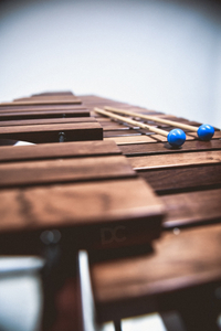 Ksylofon MIDO Tino Palisander Honduraski