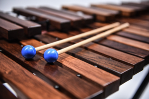 Ksylofon MIDO Tino Palisander Honduraski