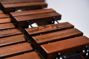 Ksylofon MIDO Tino Lapacho