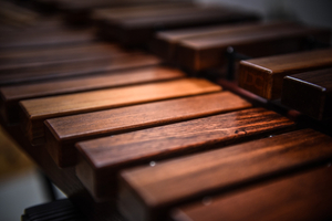 Ksylofon MIDO Tino Palisander Honduraski