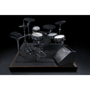 Roland PM-200 Nagłośnienie, głośnik do perkusji elektronicznej