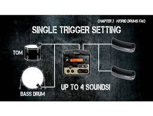 Roland TM-2 Moduł perkusyjny