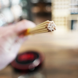 VATER Rods Splashstick LITE VSPSL Rózgi