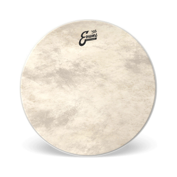 Evans Calftone Bass 18
