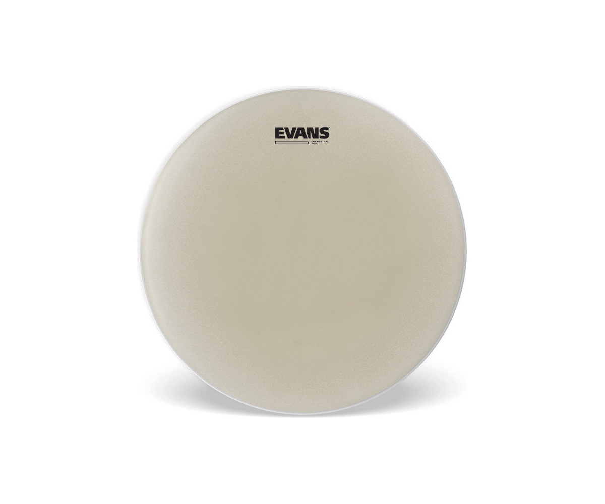 Evans Orchestral 300 14 (Level 360)