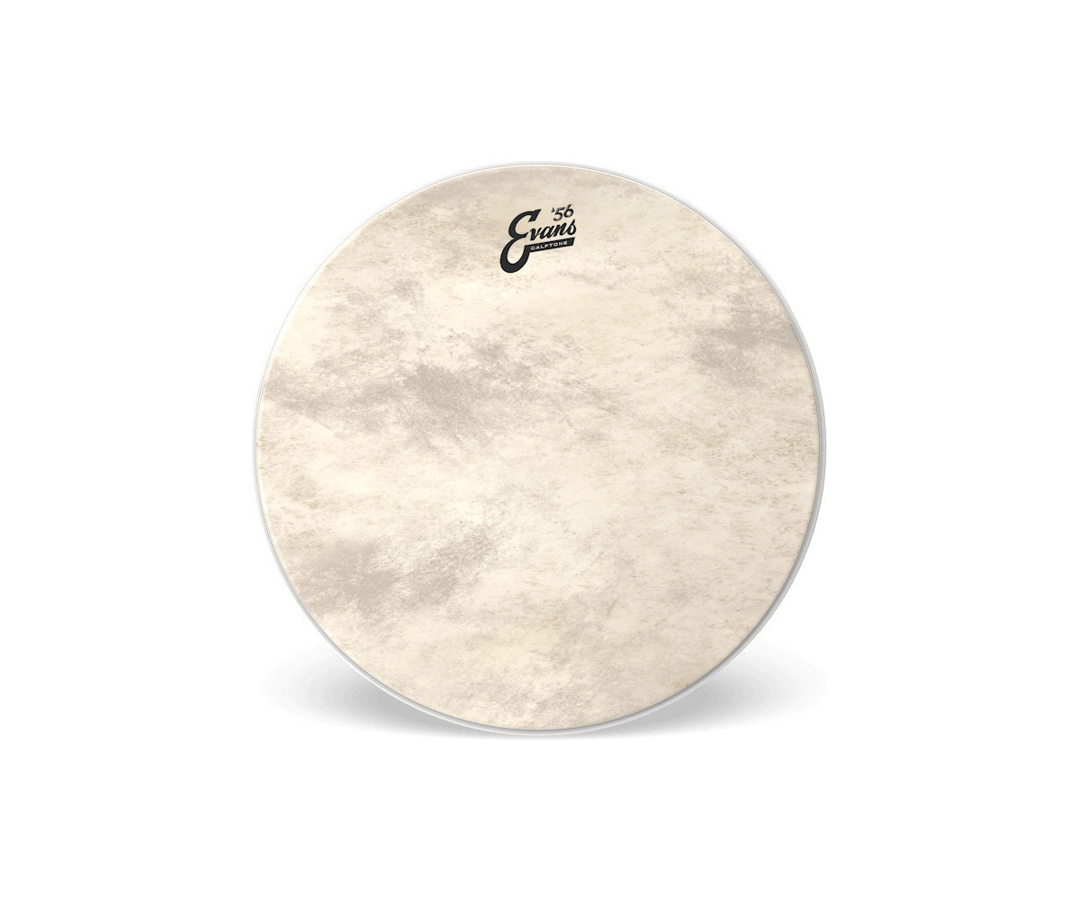 Evans Calftone Bass 18