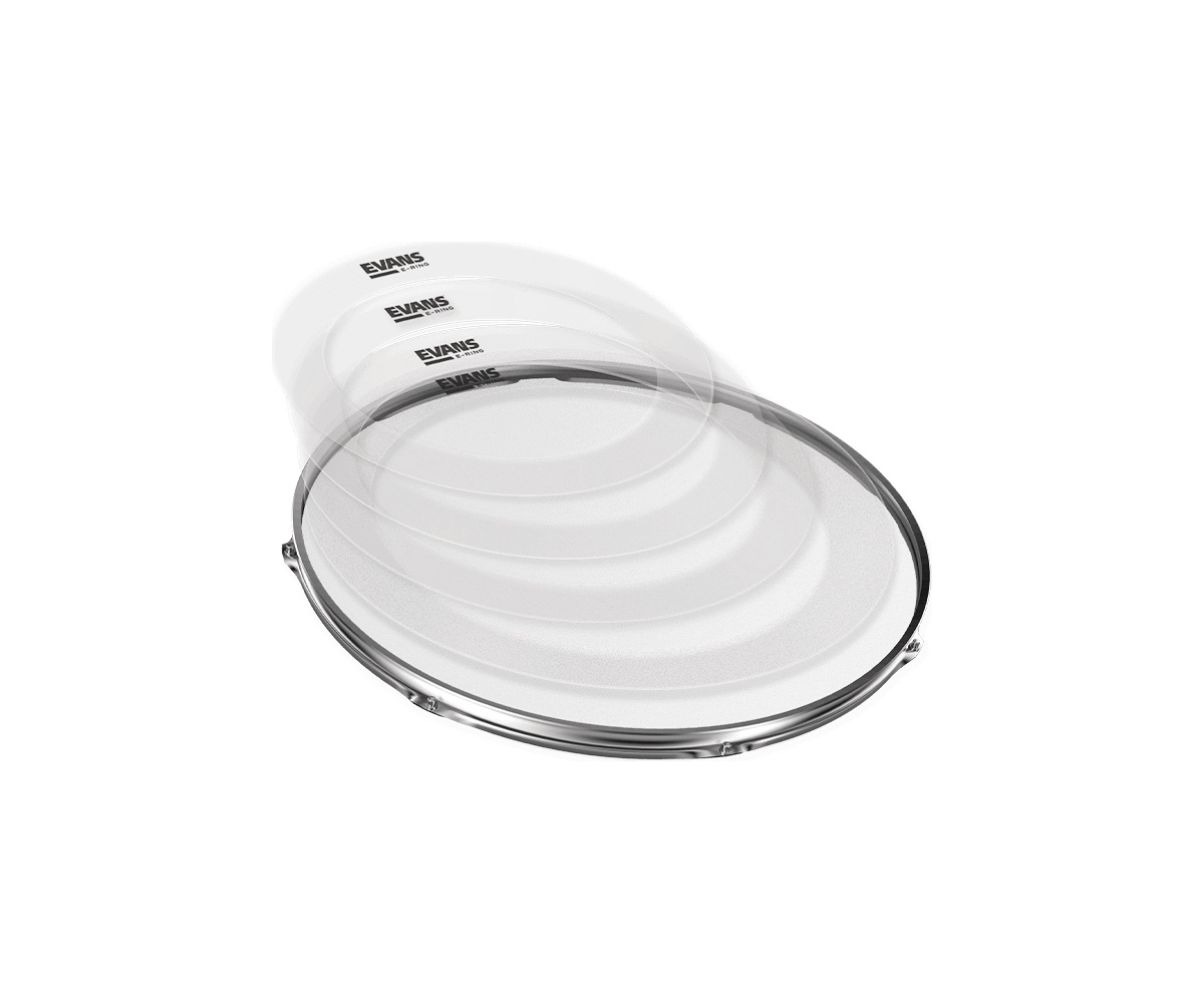 Evans E-Ring Standard Pack 12 13 14 16