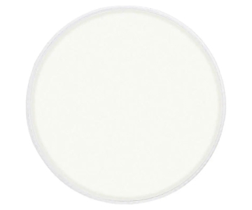 Boston Bass Coated White 26