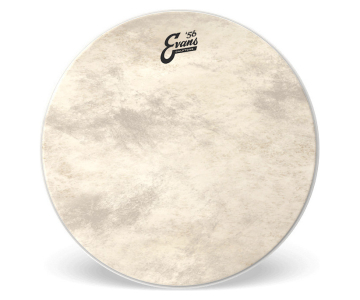 Evans Calftone Bass 22