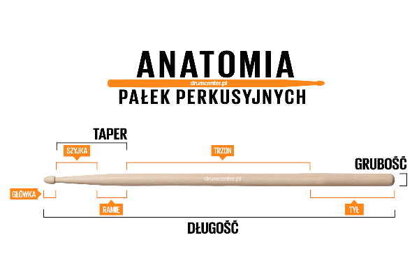 Anatomia pałek perkusyjnych