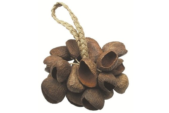 Toca Shaker Seed Shell (Muszelki, Łupiny)